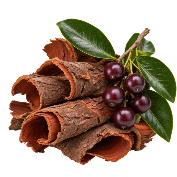 Pygeum Bark