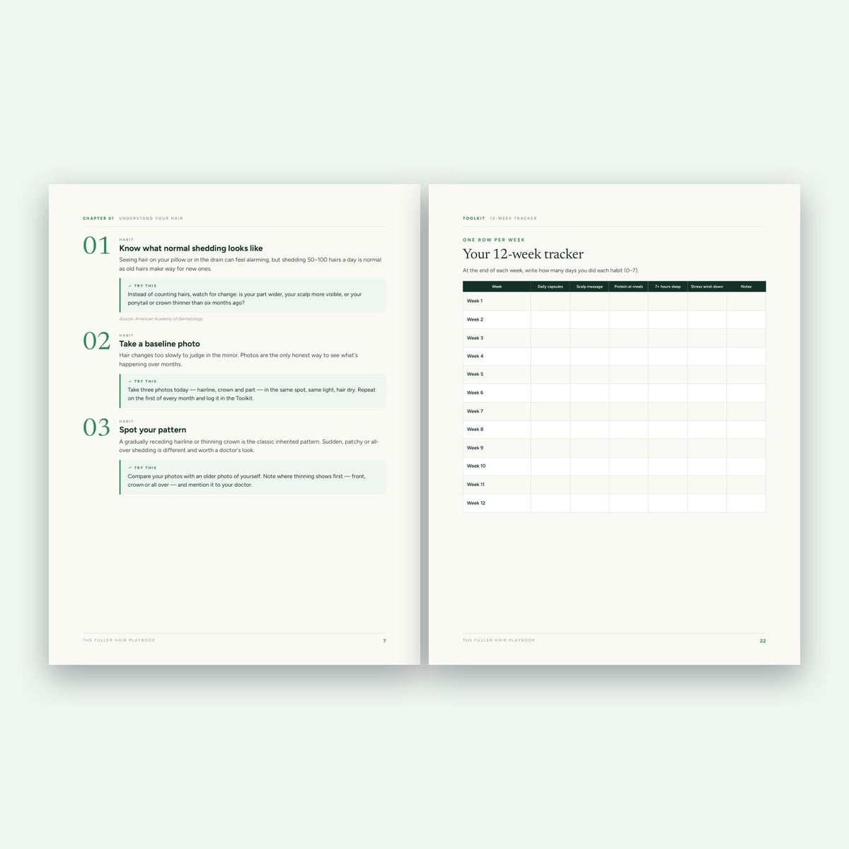 Inside The Fuller Hair Playbook: habits and tracker pages