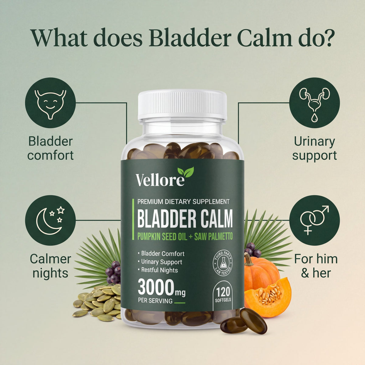 What Bladder Calm does: supports bladder comfort, healthy urinary function and calmer nights infographic