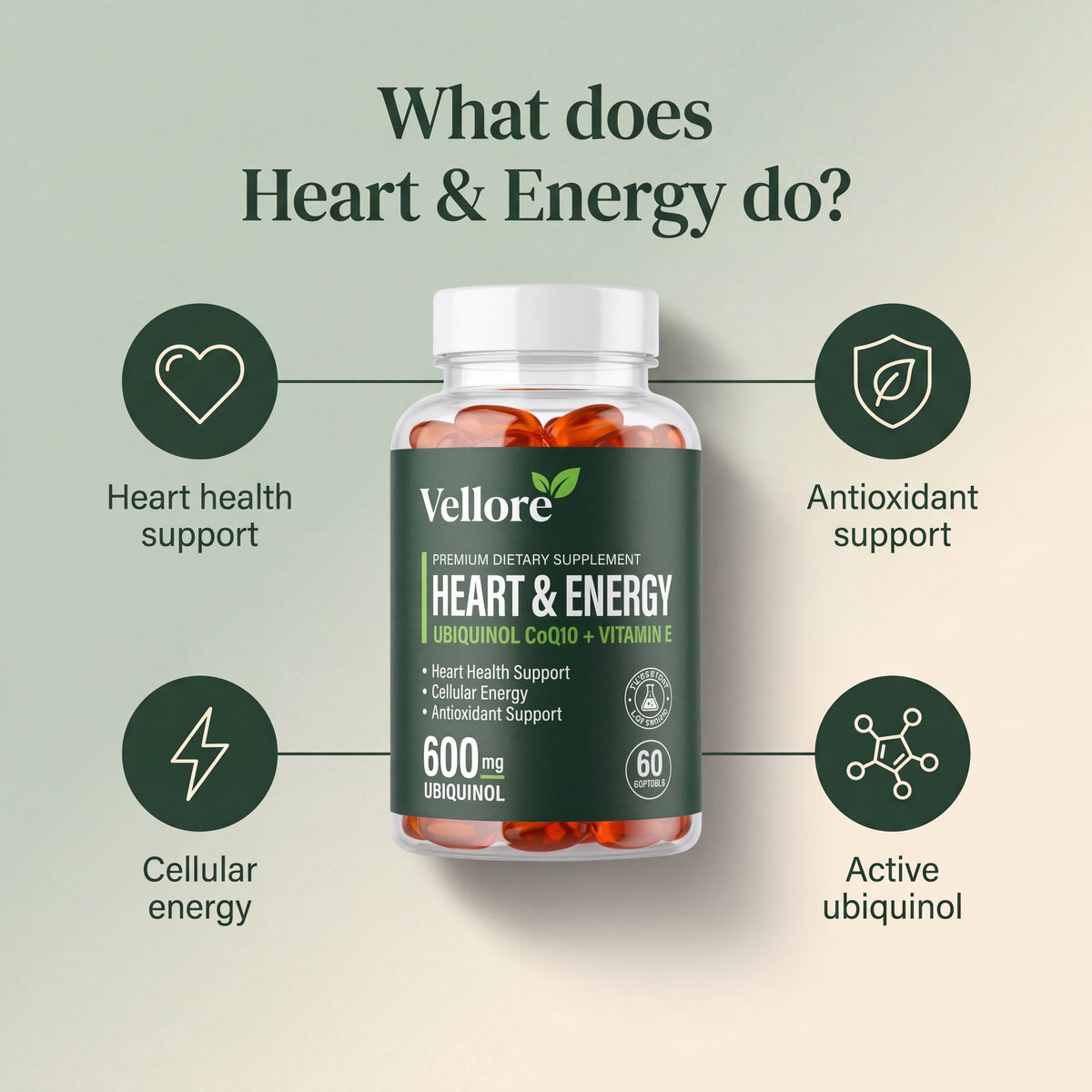 What Heart & Energy does: supports heart health and natural energy with active-form CoQ10 infographic